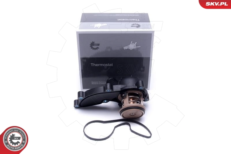 Thermostat, coolant